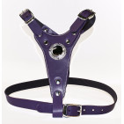 310-PURPLE
